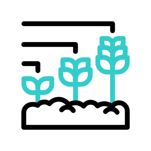 Proyectos destacados